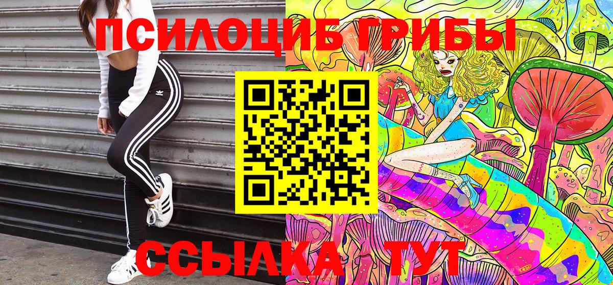 Псилоцибиновые грибы Psilocybe  Вход с VPN  Галлюциногенные грибы Psilocybe  Протвино 